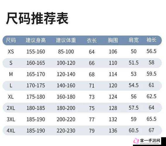 国产尺码和欧洲尺码 2024：服装尺码标准的异同与选择建议